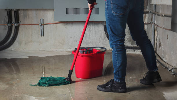 Best Flood restoration services  in South Coventry, CT