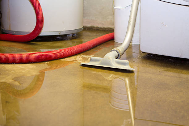 Best Flood damage cleanup  in South Coventry, CT