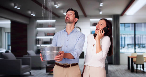 Best Professional water damage repair  in South Coventry, CT